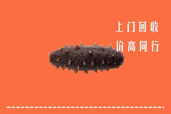 苏州高价回收海参